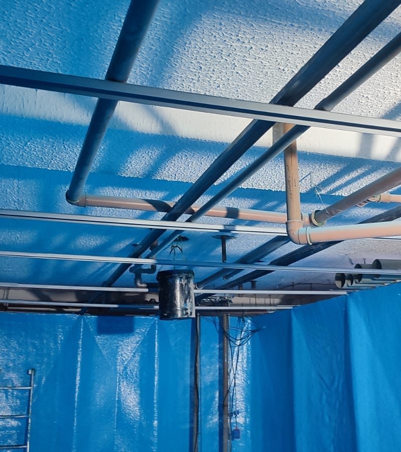 WhatsApp Image 2025-06-27 at 16.48.44